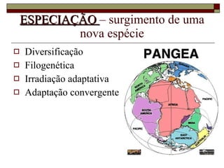 ESPECIAÇÃO  – surgimento de uma nova espécie Diversificação Filogenética Irradiação adaptativa Adaptação convergente 