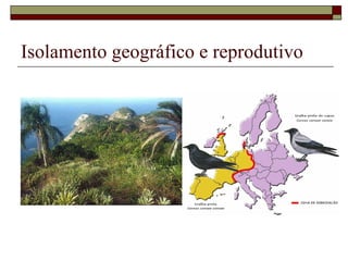 Isolamento geográfico e reprodutivo 