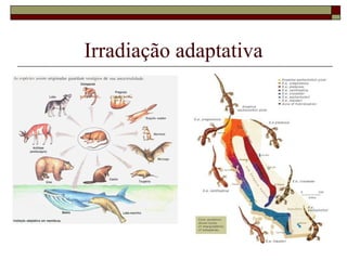 Irradiação adaptativa 
