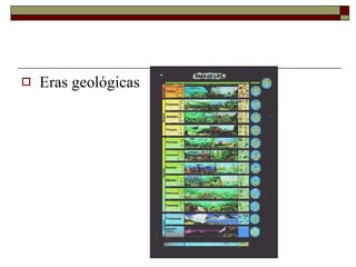 Eras geológicas 