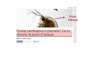 Prova slideshare francesca