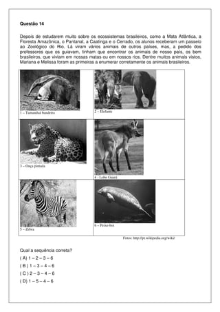 Questão 14
Depois de estudarem muito sobre os ecossistemas brasileiros, como a Mata Atlântica, a
Floresta Amazônica, o Pantanal, a Caatinga e o Cerrado, os alunos receberam um passeio
ao Zoológico do Rio. Lá viram vários animais de outros países, mas, a pedido dos
professores que os guiavam, tinham que encontrar os animais de nosso país, os bem
brasileiros, que viviam em nossas matas ou em nossos rios. Dentre muitos animais vistos,
Mariana e Melissa foram as primeiras a enumerar corretamente os animais brasileiros.
1 – Tamanduá bandeira 2 – Elefante
3 – Onça pintada
4 - Lobo Guará
5 – Zebra
6 – Peixe-boi
Fotos: http://pt.wikipedia.org/wiki/
Qual a sequência correta?
( A) 1 – 2 – 3 – 6
( B ) 1 – 3 – 4 – 6
( C ) 2 – 3 – 4 – 6
( D) 1 – 5 – 4 – 6
 