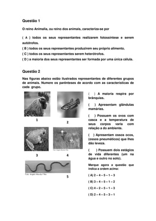Questão 1
O reino Animalia, ou reino dos animais, caracteriza-se por
( A ) todos os seus representantes realizarem fotossíntese e serem
autótrofos.
( B ) todos os seus representantes produzirem seu próprio alimento.
( C ) todos os seus representantes serem heterótrofos.
( D ) a maioria dos seus representantes ser formada por uma única célula.
Questão 2
Nas figuras abaixo estão ilustrados representantes de diferentes grupos
de animais. Numere os parênteses de acordo com as características de
cada grupo.
( ) A maioria respira por
brânquias.
( ) Apresentam glândulas
mamárias.
( ) Possuem os ovos com
casca e a temperatura de
seus corpos varia com
relação a do ambiente.
( ) Apresentam ossos ocos,
(ossos pneumáticos) que lhes
dão leveza.
( ) Possuem dois estágios
de vida diferentes (um na
água e outro no solo).
Marque agora a questão que
indica a ordem acima:
( A) 2 – 4 – 5 – 1 – 3
( B) 3 – 4 – 5 – 1 – 2
( C) 4 – 2 – 5 – 1 – 3
( D) 2 – 4 – 5 – 3 – 1
1
2
3 4
5
 