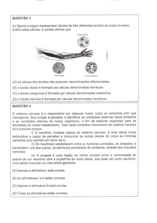 Prova SME 8º ano 1º bim 2012