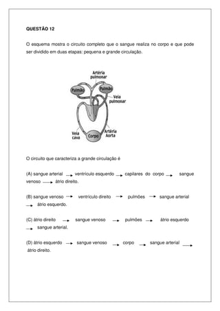 QUESTÃO 12
O esquema mostra o circuito completo que o sangue realiza no corpo e que pode
ser dividido em duas etapas: pequena e grande circulação.
O circuito que caracteriza a grande circulação é
(A) sangue arterial ventrículo esquerdo capilares do corpo sangue
venoso átrio direito.
(B) sangue venoso ventrículo direito pulmões sangue arterial
átrio esquerdo.
(C) átrio direito sangue venoso pulmões átrio esquerdo
sangue arterial.
(D) átrio esquerdo sangue venoso corpo sangue arterial
átrio direito.
 