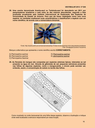 VESTIBULAR 2013 / 2º DIA

28. Uma aranha denominada Aranha-azul ou Tarântula-azul foi descoberta em 2011 por
    pesquisadores brasileiros e está entre as dez maiores descobertas, segundo a lista
    produzida anualmente pelo Instituto Internacional de Exploração das Espécies da
    Universidade do Estado do Arizona. Para que ela fosse catalogada como uma nova
    espécie, os cientistas analisaram suas características e classificaram a espécie com um
    nome científico, de acordo com a nomenclatura binomial.




             Fonte: http://exame.abril.com.br/ciencia/noticias/top-10-das-novas-especies-inclui-descobertas-brasileiras
                                                                                 Foto: Divulgação/Caroline Fukushima

Marque a alternativa que apresenta o nome científico escrito CORRETAMENTE.

A) Pterinopelma sazimai                                       D) Pterinopelma sazimai
B) Pterinopelma sazimai                                       E) pterinopelma sazimai
C) Pterinopelma Sazimai

29. As florestas de mangue são compostas por espécies arbóreas típicas, tolerantes ao sal
    presente na água do mar. Através de glândulas de sal, pequenas estruturas presentes
    nas folhas de algumas espécies, como o mangue-preto, a árvore pode excretar sal,
    evitando, assim, a concentração do soluto no tecido das folhas.




  Como mostrado no corte transversal de uma folha dessa espécie, observe a ilustração e indique
  onde está localizada a estrutura responsável por essa função.

                                                                                                                  13
 