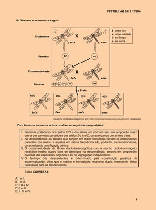 VESTIBULAR 2013 / 2º DIA


19. Observe o esquema a seguir:




                             Desenho de libélula disponível em: http://criandoartepravoce.blogspot.com (Adaptado)

 Com base no esquema acima, analise as seguintes proposições:

     I. Gametas portadores dos alelos E/C e dos alelos e/c ocorrem em uma proporção maior
          que a dos gametas portadores dos alelos E/c e e/C, caracterizando um arranjo trans.
     II. Na descendência, as classes que surgem em maior frequência portam as combinações
          parentais dos alelos, e aquelas em menor frequência são, portanto, as recombinantes,
          caracterizando uma ligação gênica.
     III. O cruzamento-teste da fêmea duplo-heterozigótica com o macho duplo-homozigoto-
          recessivo mostra quatro tipos de genótipos na descendência, embora em proporções
          diversas das esperadas, segundo a lei de segregação independente.
     IV. O fenótipo dos descendentes é determinado pela constituição genética do
          espermatozoide, visto que o macho é homozigoto recessivo duplo, fornecendo alelos
          recessivos para os descendentes.

         Estão CORRETAS

A) I e II.
B) I e III.
C) I, II e IV.
D) II e III.
E) II, III e IV.

                                                                                                            8
 