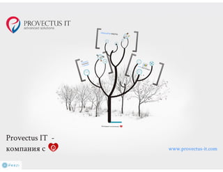 Provectus IT - компания с сердцем