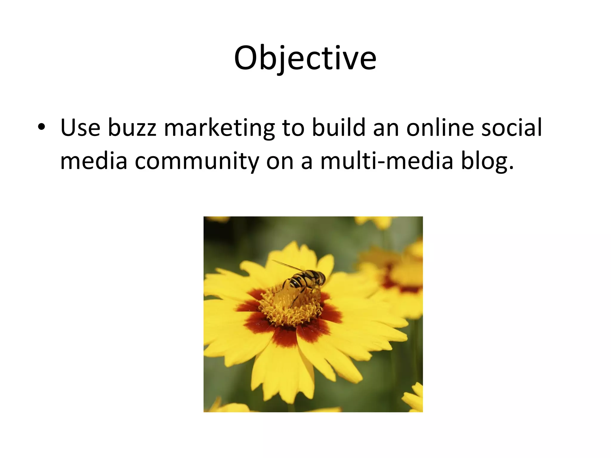 Objective Use buzz marketing to build an online social media community on a multi-media blog. 