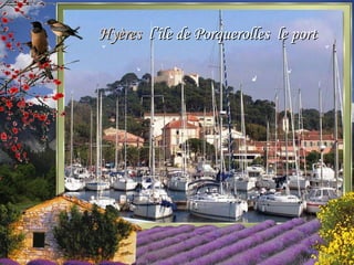 Hyères l’île de Porquerolles le port
