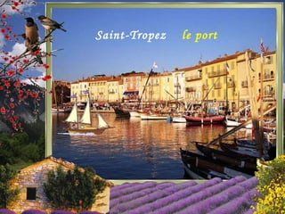 Saint-Tropez le port