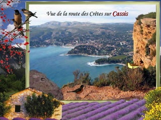 Vue de la route des Crêtes sur Cassis