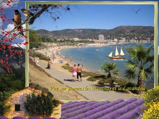 Vue sur Bormes les Mimosas et le Lavandou
