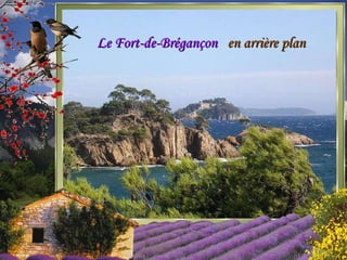 Le Fort-de-Brégançon en arrière plan