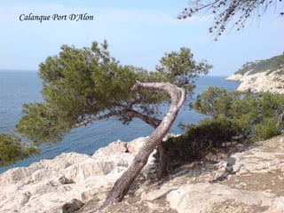 Calanque Port D'Alon 