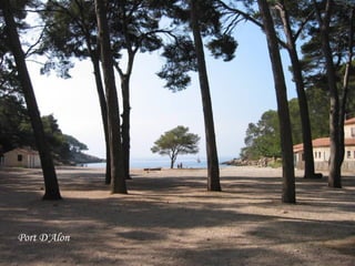 Port D'Alon 
