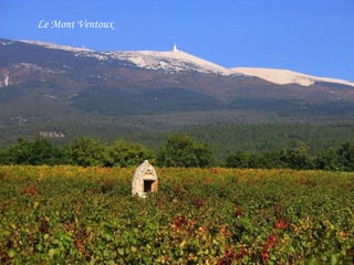 Le Mont Ventoux 