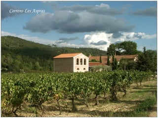 Correns Les Aspras 
