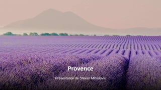 Provence
Présentation de Stevan Mihailovic
 