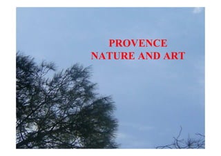 PROVENCE
NATURE AND ART
 