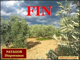 FIN
5KNA Productions 2007
 