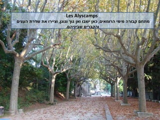 Les Alyscamps  מתחם קבורה מימי הרומאים ,  כאן ישבו ואן גוך וגוגן ,  וציירו את שדרת העצים  והקברים שביניהם . 