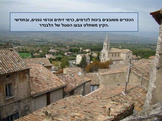 הכפרים משובצים בינות לכרמים ,  כרמי זיתים וכרמי גפנים ,  ובחודשי הקיץ משתלט צבעו הסגול של הלבנדר . 