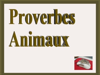 Proverbes Animaux 