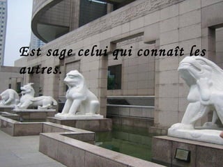 Est sage celui qui connaît les autres.   [ Proverbe chinois ] 