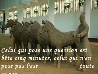 Celui qui pose une question est bête cinq minutes, celui qui n'en pose pas l'est    toute sa vie.   [ Proverbe chinois ] 