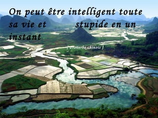 On peut être intelligent toute sa vie et    stupide en un instant   [ Proverbe chinois ]   