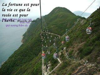 La fortune est pour
la vie ce que la
rosée est pour
l'herbe. [Proverbe chinois]
May mắn làm đời tươi mát
khác nào
giọt sương thấm cỏ.
 