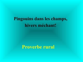 Pingouins dans les champs,
     hivers méchant!



   Proverbe rural
 
