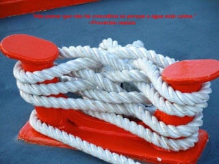 "Não pense que não há crocodilos só porque a água está calma." --Provérbio malaio  