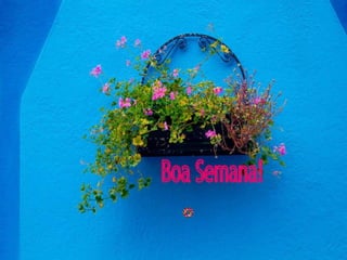 Boa Semana! 