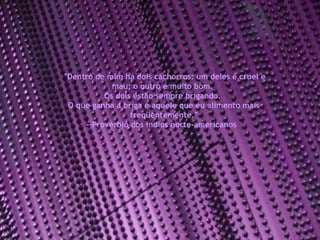 "Dentro de mim há dois cachorros: um deles é cruel e mau; o outro é muito bom.  Os dois estão sempre brigando.  O que ganha a briga é aquele que eu alimento mais freqüentemente." --Provérbio dos índios norte-americanos  