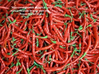 "Não conseguimos espantar uma mosca ficando bravos com ela."  - Provérbio Africano  