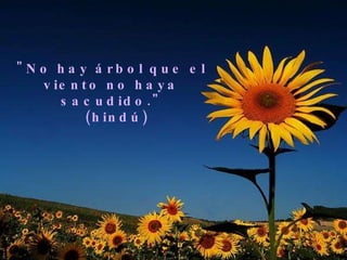 "No hay árbol que el viento no haya sacudido." (hindú) 