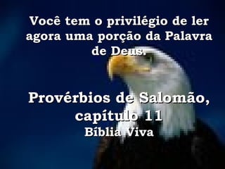 Você tem o privilégio de ler agora uma porção da Palavra de Deus. Provérbios de Salomão, capítulo 11 Bíblia Viva 
