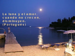 La luna y el amor, cuando no crecen, disminuyen. (Portugués)