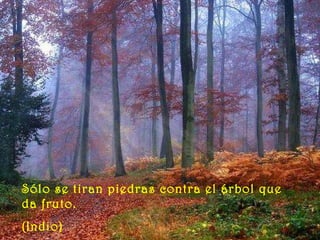 Sólo se tiran piedras contra el árbol que da fruto. (Indio)