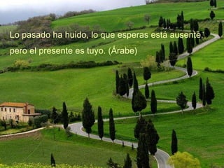 Lo pasado ha huido, lo que esperas está ausente, pero el presente es tuyo. (Árabe)