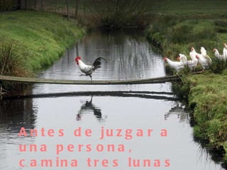 Antes de juzgar a una persona, camina tres lunas con sus mocasines. (Indio)