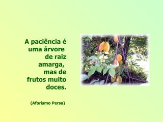A paciência é uma árvore  de raiz amarga,  mas de frutos muito doces. (Aforismo Persa)                                                                                                                                                                                                                                                                                                                                                                                                                                                                                                                                                                                                                                                                                                                                                                   