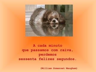 A cada minuto  que passamos com raiva,  perdemos  sessenta felizes segundos.   (William Somerset Maugham)   