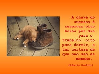 A chave do sucesso é reservar oito horas por dia para o  trabalho, oito para dormir, e ter certeza de que não são as mesmas.  (Roberto Dualibi)   