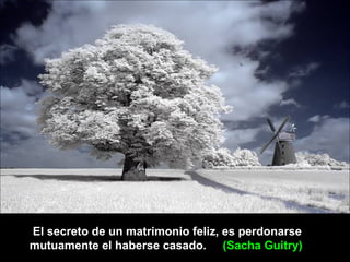 El secreto de un matrimonio feliz, es perdonarse
mutuamente el haberse casado. (Sacha Guitry)
 