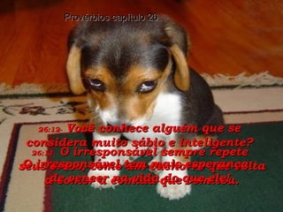 26:11-   O irresponsável sempre repete  seus erros, como um cachorro que volta a comer a comida que vomitou. Provérbios capítulo 26 26:12-   Você conhece alguém que se considera muito sábio e inteligente? O irresponsável tem mais esperança  de vencer na vida do que ele! 