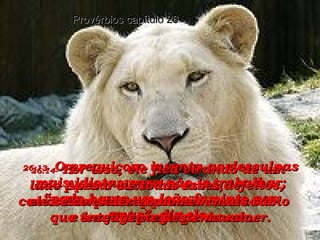 26:13-   O preguiçoso inventa as desculpas mais idiotas para não ir trabalhar; “pode haver um leão faminto nas ruas”, diz ele. Provérbios capítulo 26 26:14-   Por isso, ele fica virando de um lado para o outro na cama,  como uma porta que abre  e fecha sem parar. 26:15-   Ele está sempre tão cansado  que tem até preguiça de comer. 26:16-   Apesar de todos esses defeitos,  ele se considera o homem mais sábio  e inteligente deste mundo. 