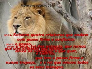Provérbios capítulo 30 30:29-   Existem quatro criaturas que andam com passo firme e confiante: 30:30-   o leão, rei dos animais, que nunca deixa de conseguir o que quer, 30:31-   o pavão,  que vive exibindo sua beleza,  o cabrito,  que tem o passo firme e nunca tropeça,  e o rei que venceu todos os seus inimigos. 